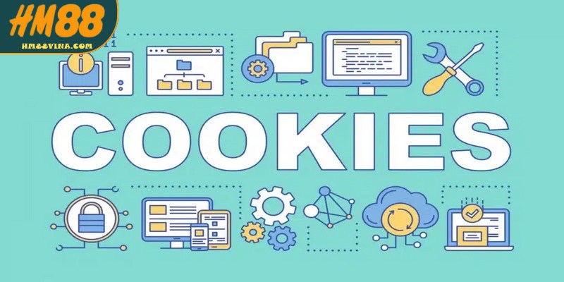 Chính sách Cookie nhằm cải thiện tốc độ truy cập