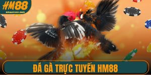 Đá Gà Trực Tuyến HM88 – Sảnh Chọi Kê Online Hấp Dẫn Nhất