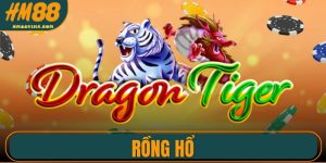 Rồng Hổ - Những Mẹo Chơi Thắng Lớn Cho Người Mới